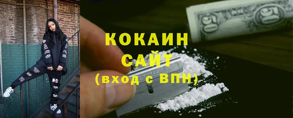 ГАЛЛЮЦИНОГЕННЫЕ ГРИБЫ Каменка