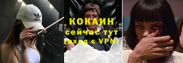ГАЛЛЮЦИНОГЕННЫЕ ГРИБЫ Каменка