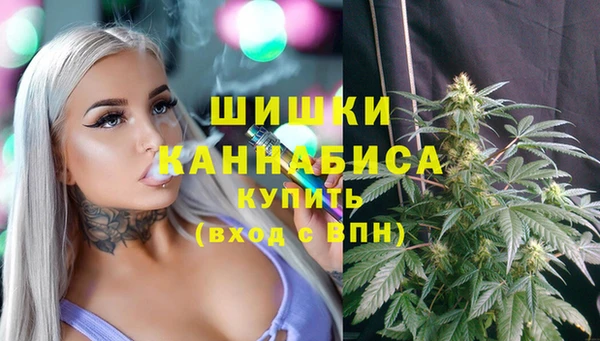 СК Каменск-Шахтинский