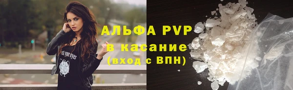 ГАЛЛЮЦИНОГЕННЫЕ ГРИБЫ Каменка